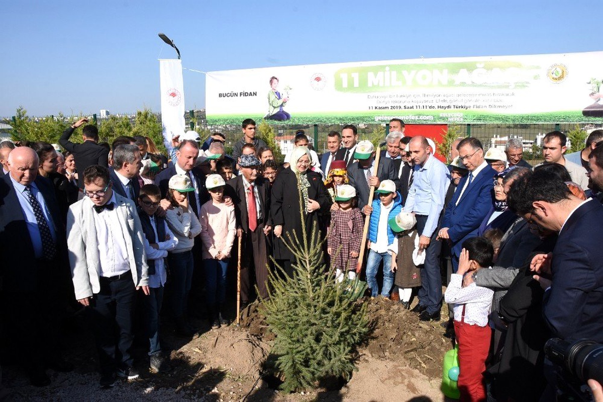 Aile, Çalışma ve Sosyal Hizmetler Bakanı Selçuk, Sinop\'ta fidan dikimine katıldı