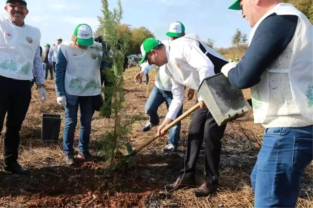 Akçakocalı vatandaşlar Dadalı köyünde "Geleceğe nefes" dedi