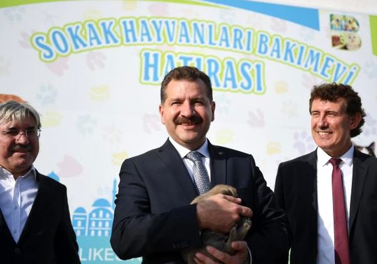 Balıkesir\'de 3 yılda 4 bin 725 sokak hayvanı sahiplendirildi