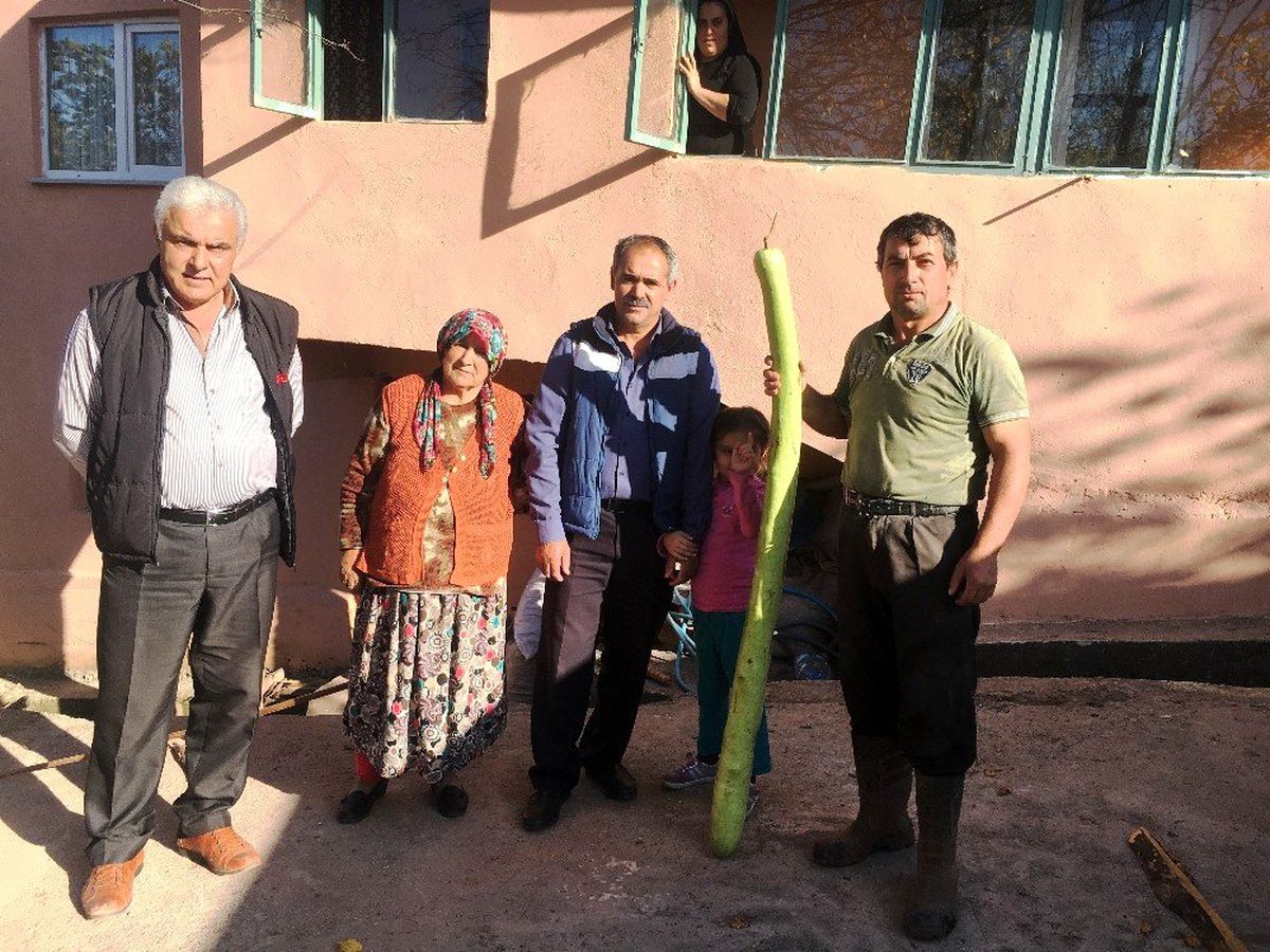 Bartın\'da 170 santimetrelik kabak görenleri şaşkına çeviriyor