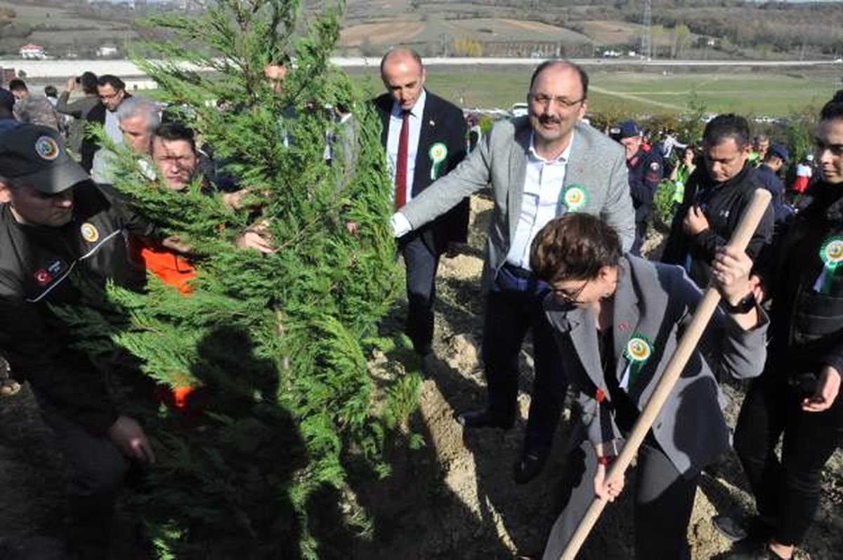 Bartın\'da 3 bin 925 fidan dikildi