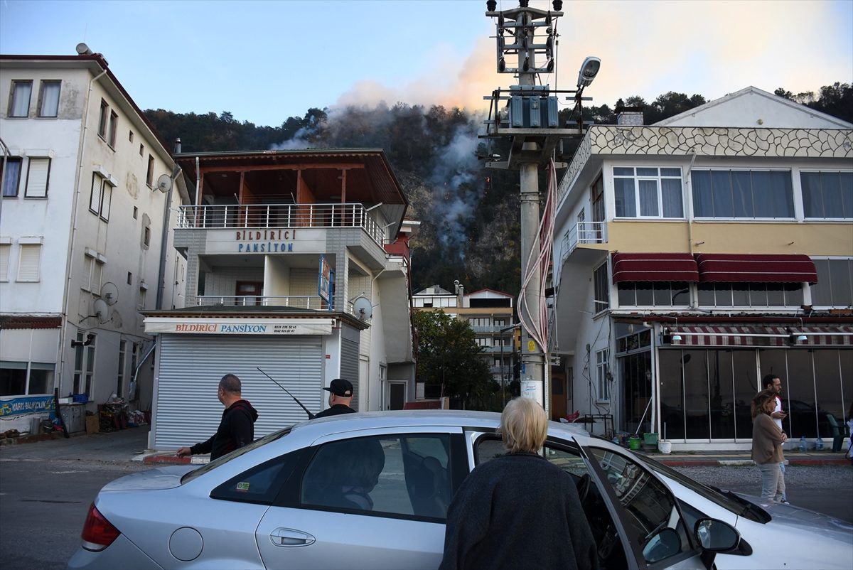 Bartın\'da orman yangını