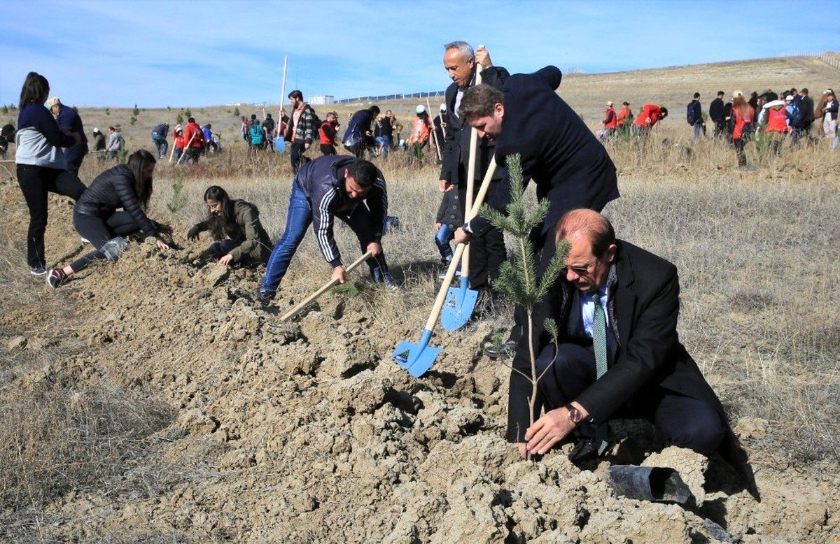 Bayburt\'ta 73 bin fidan toprakla buluştu