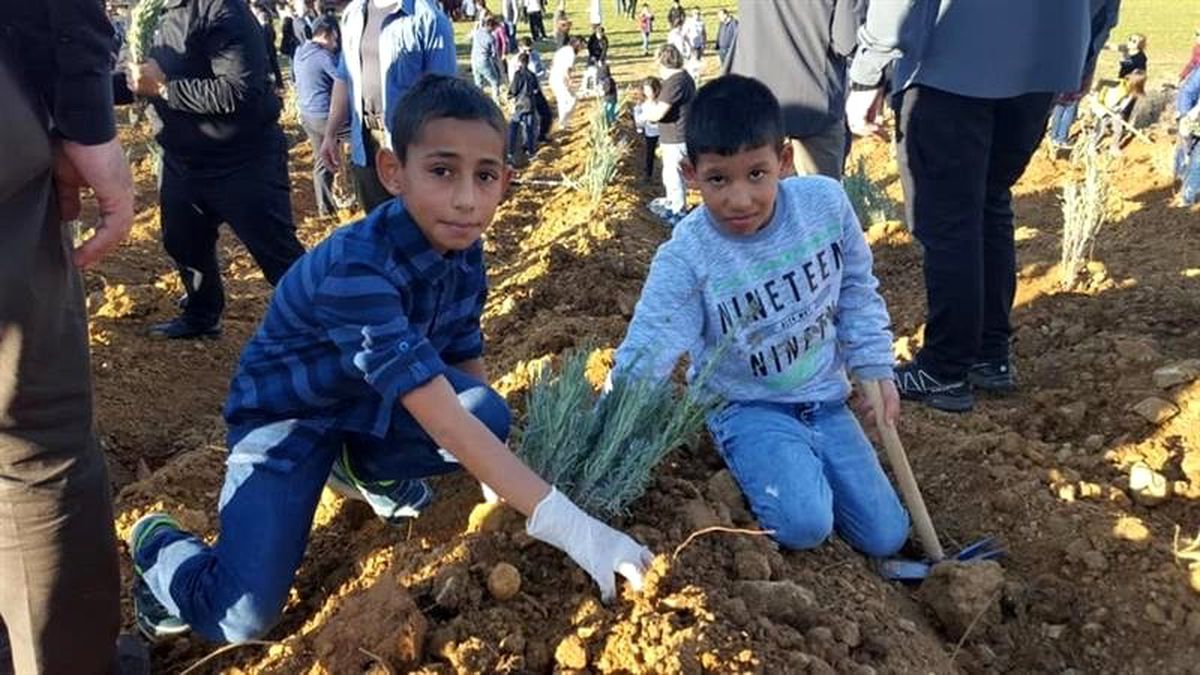 Bilecik\'e lavanta bahçesi oluşturuldu