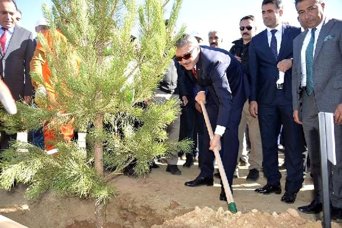 \'Bingöl, fidan sahiplenme seferberliğinde Türkiye 3\'üncüsü\'
