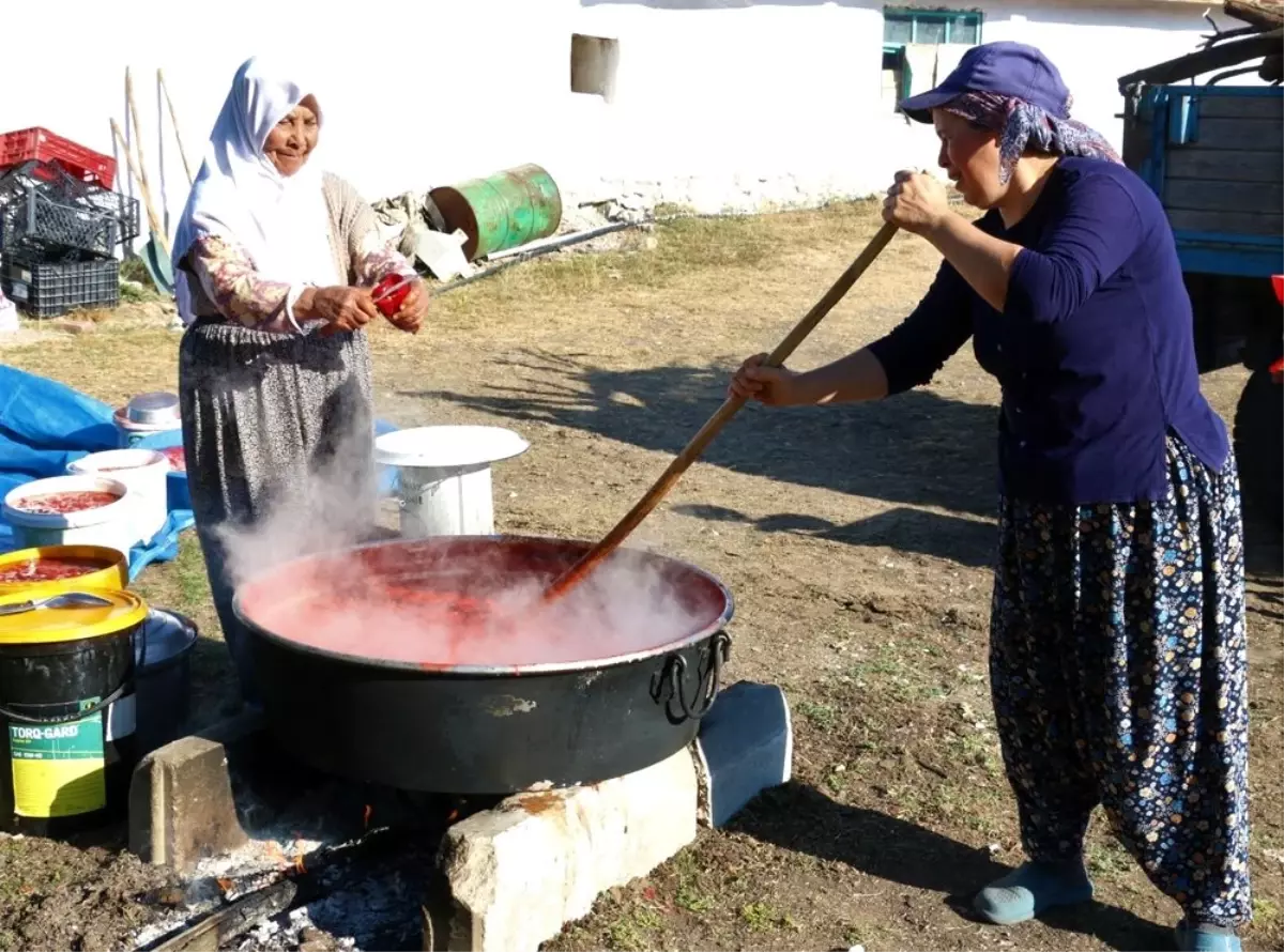 Bir gün uğraşıp tüm kış boyunca yiyorlar