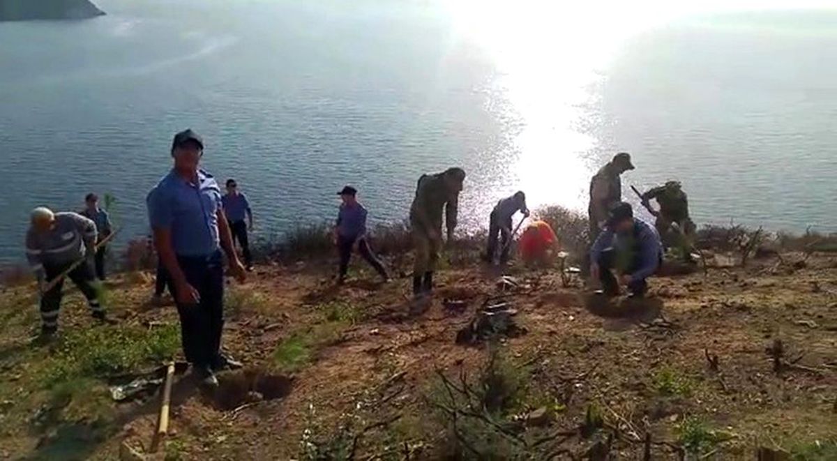 Burgazada\'da yanan alanlar \'Geleceğe Nefes Ol\' projesi kapsamında ağaçlandırıldı