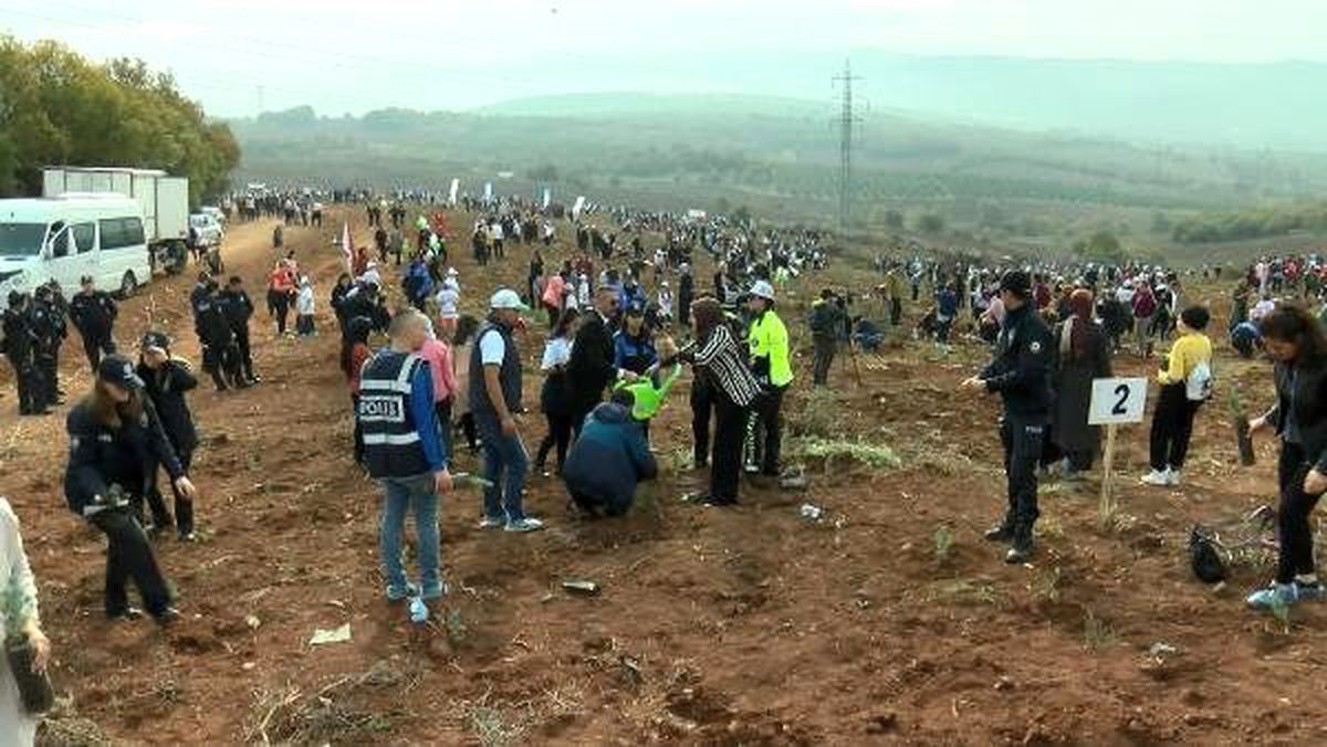 Bursa\'da 300 bin fidan toprakla buluşturuldu