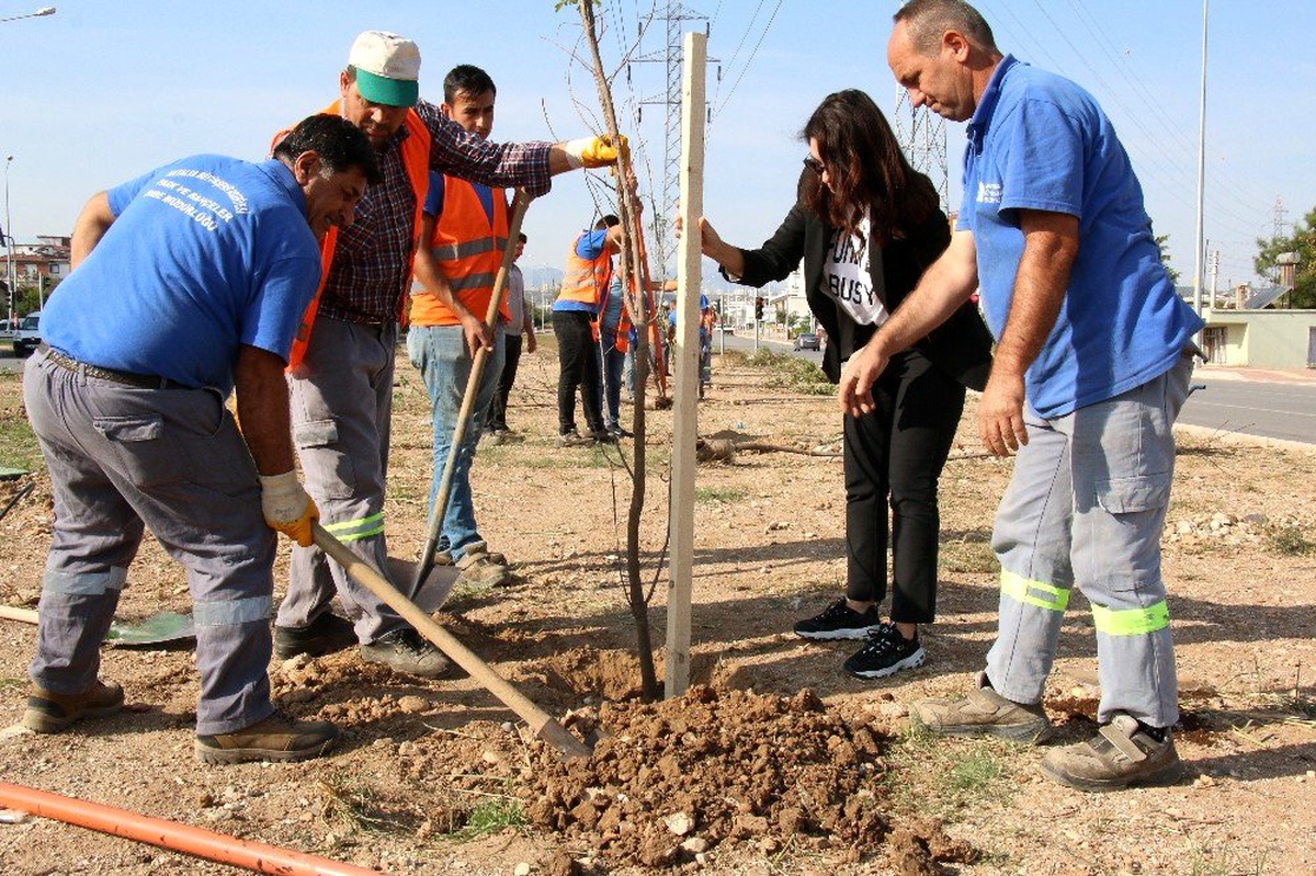 Büyükşehir\'den milli ağaçlandırma gününe destek