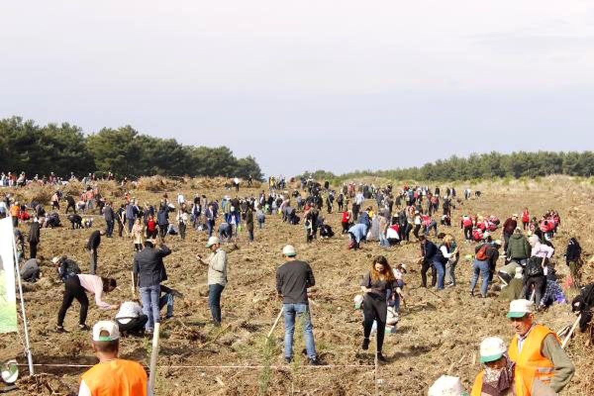 Çanakkale\'de 205 bin fidan toprakla buluşturuldu