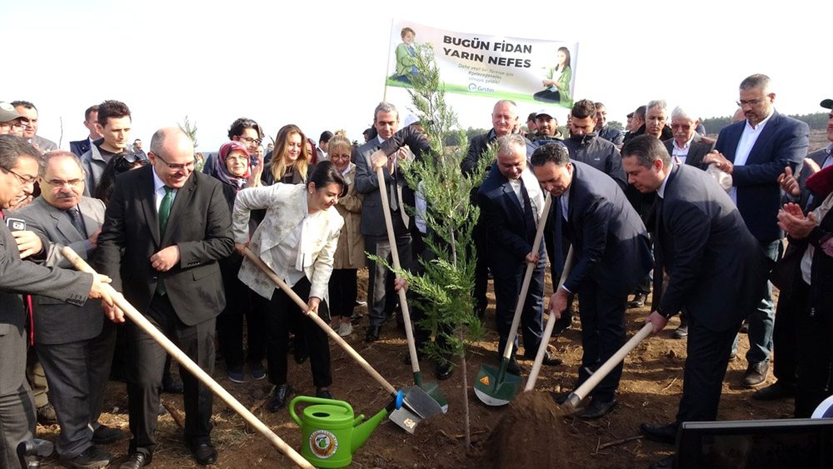 Çanakkale\'de 41 ayrı noktada 205 bin fidan toprakla buluştu