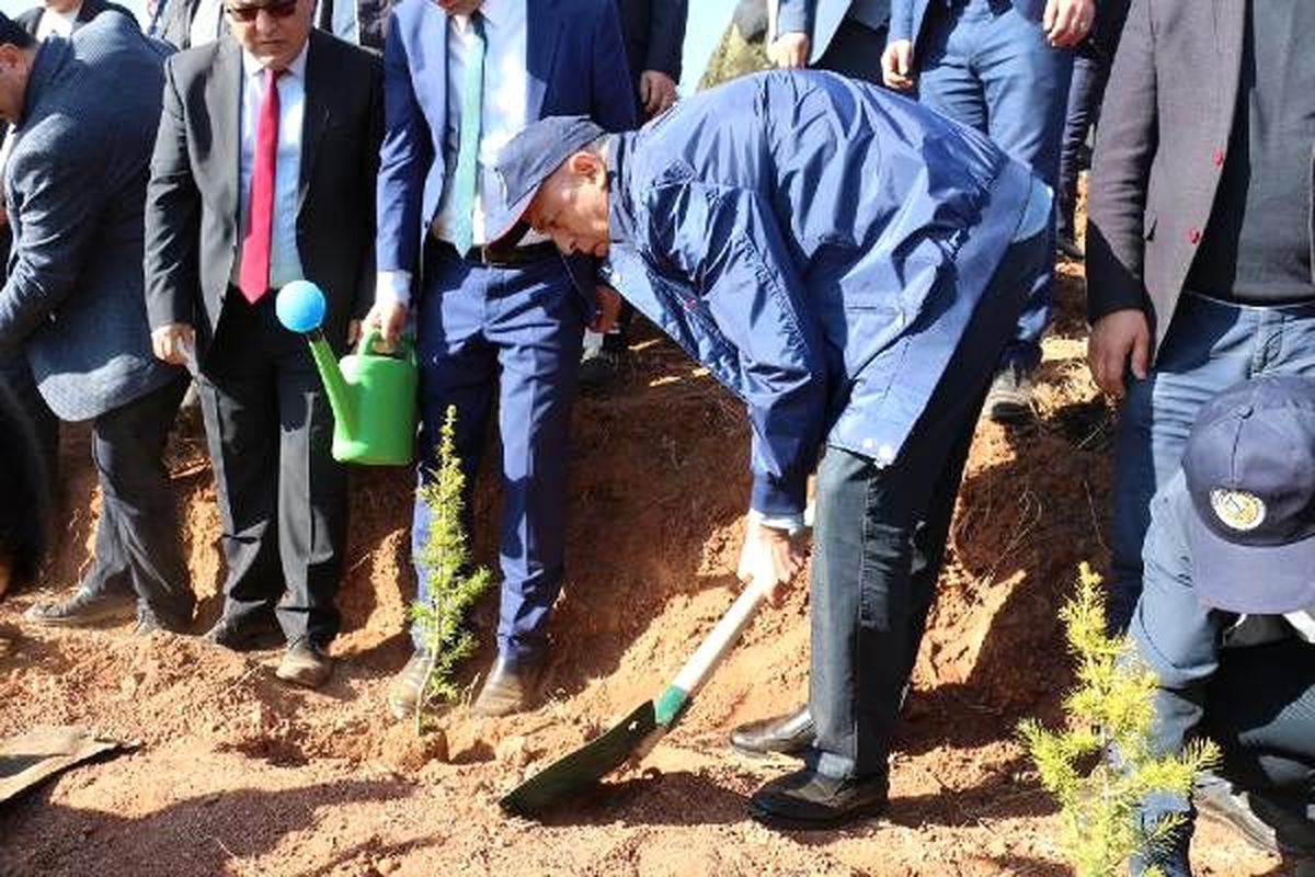Çankırı\'da 205 bin fidan toprakla buluşturuldu