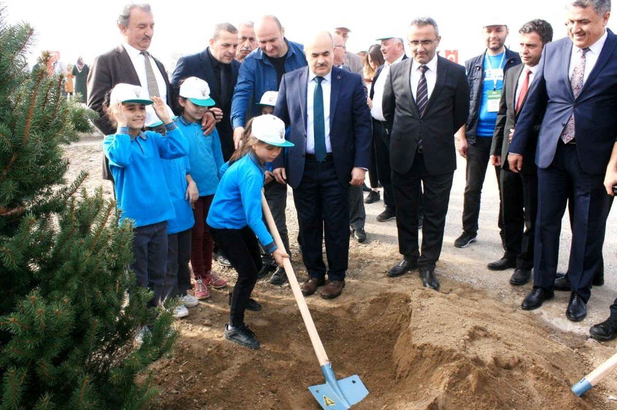 Düzce\'de 61 noktada 40 bin fidan dikildi
