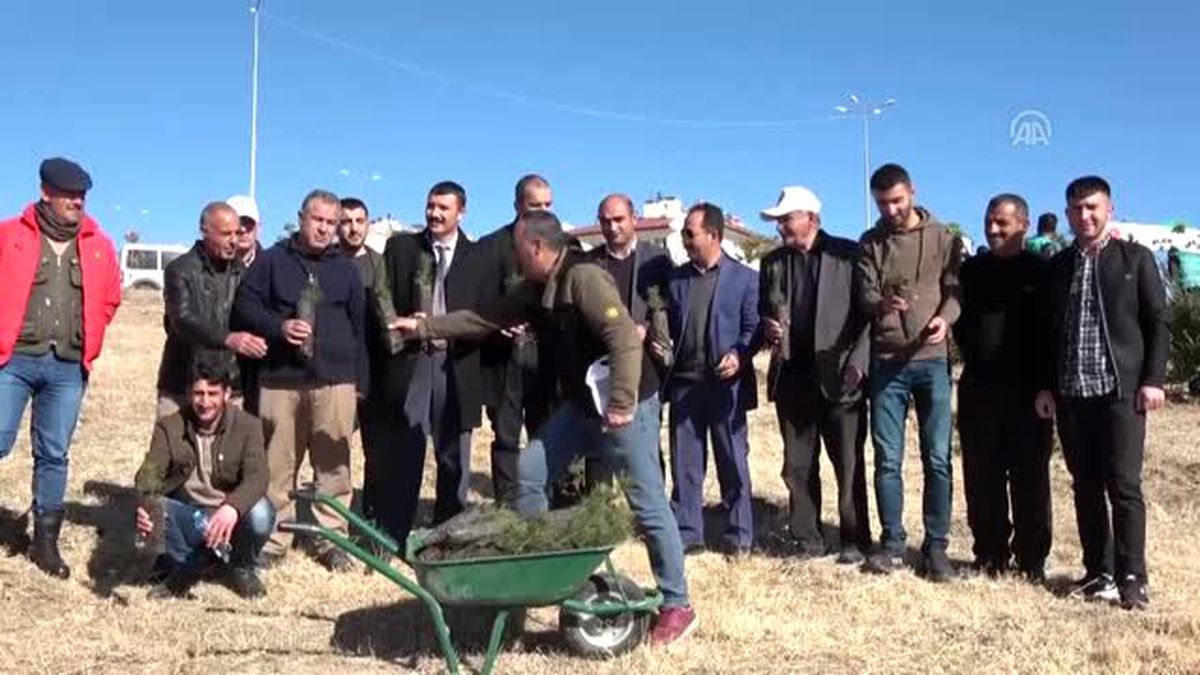 Erciş\'te, fidan dikimi etkinliği - VAN