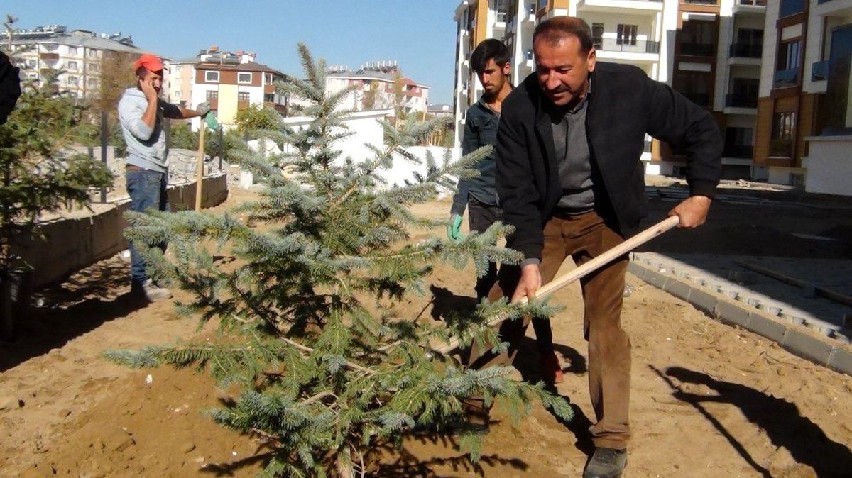 Ercişli iş adamı Halis Bahçe 300 fidanı toprakla buluşturdu
