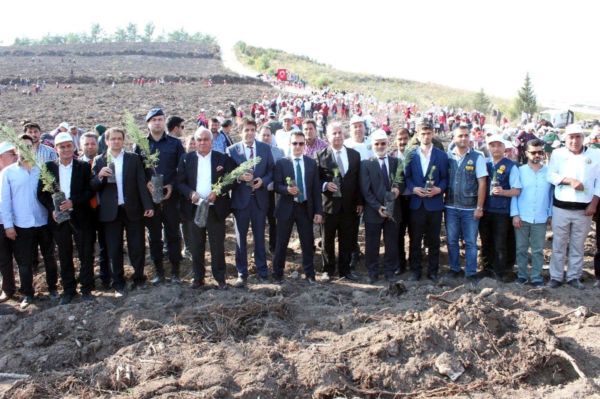 Erdemli\'de 50 bin fidan toprakla buluştu