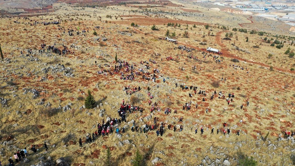 Gazi şehir, kurtuluşunun 100. yılına 27 milyon fidanla girecek