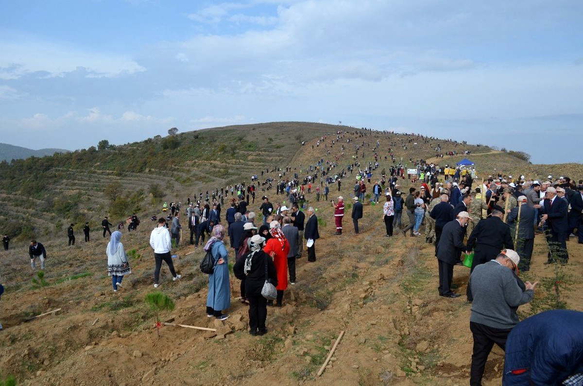 Her yıl Kıbrıs kadar arazi erozyona kurban gidiyor