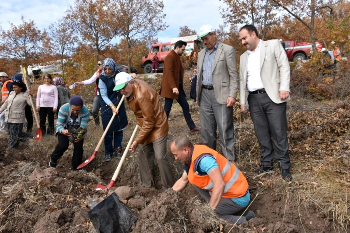 İnönü\'de geleceğe nefes olmak için 2 bin fidan toprakla buluştu