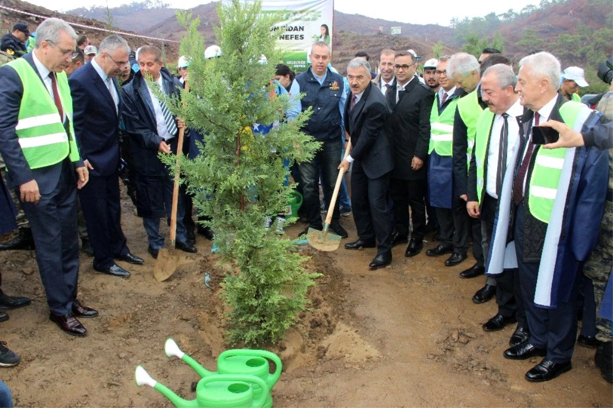 İzmir\'de PKK\'nın yaktığı alan ağaçlandırılıyor