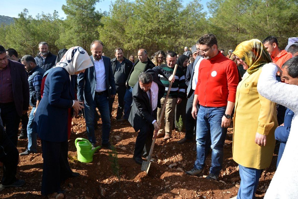 Korkuteli\'nde 4 Bin 500 Fidan Toprakla Buluştu