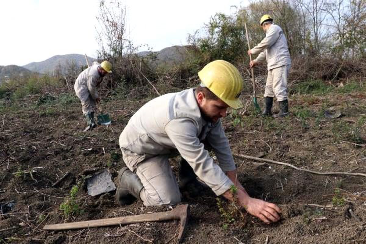 Maden işçileri fidan dikti
