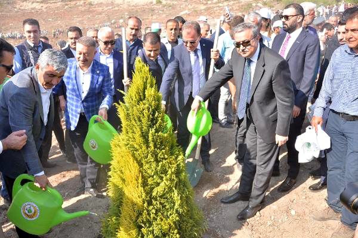 Mersin\'de, 251 bin fidan toprakla buluşturuldu