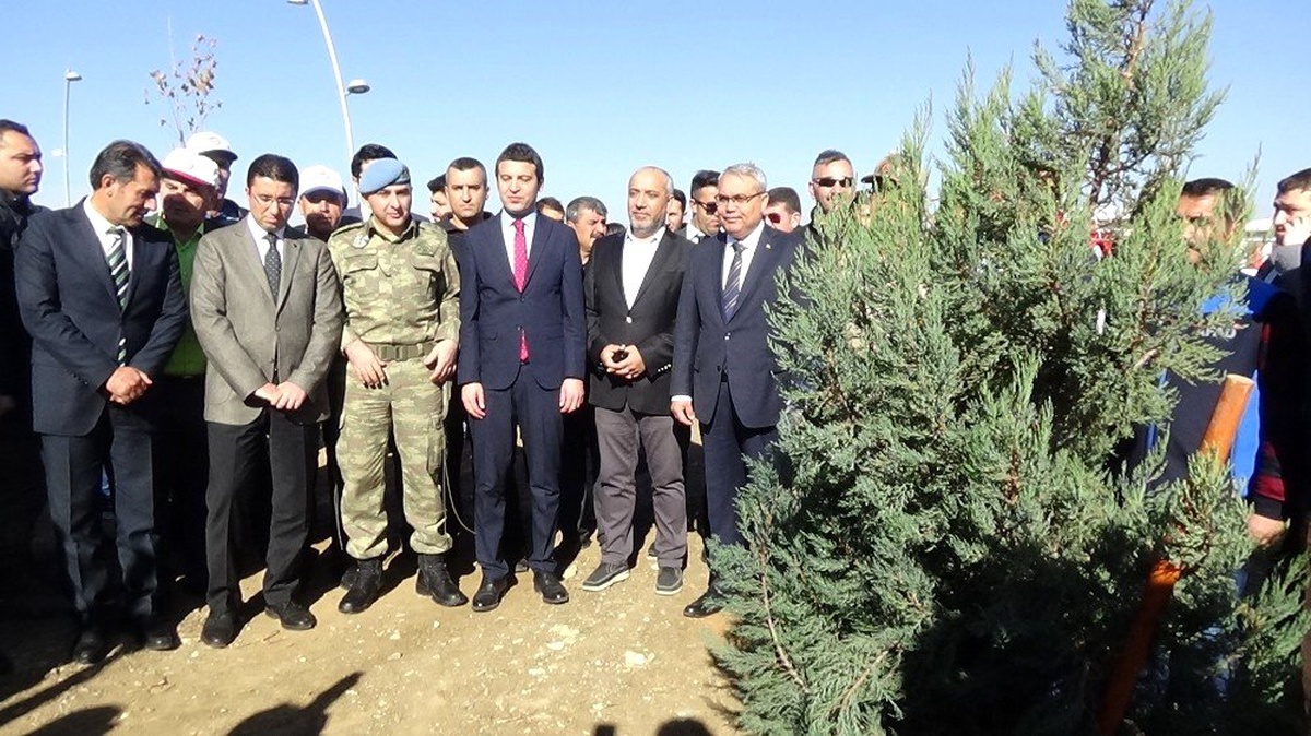 Muş\'ta 80 bin fidan toprakla buluştu