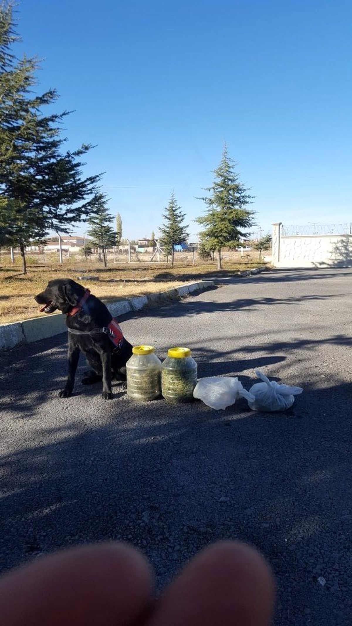 Niğde\'de 3 kilogram esrar ele geçirildi