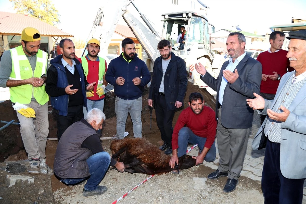 Oltulular, doğal gaz hattının mahallelerine ulaşmasını kurban keserek kutladılar