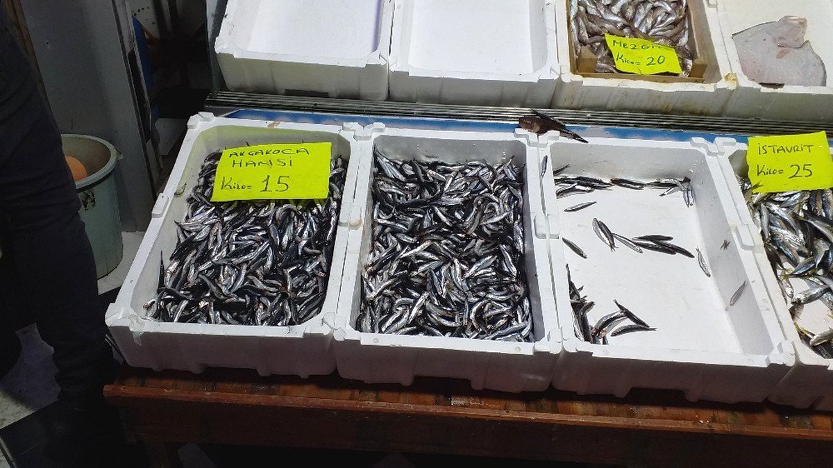 (Özel) Hamsi\'nin fiyatı yükselişe geçti
