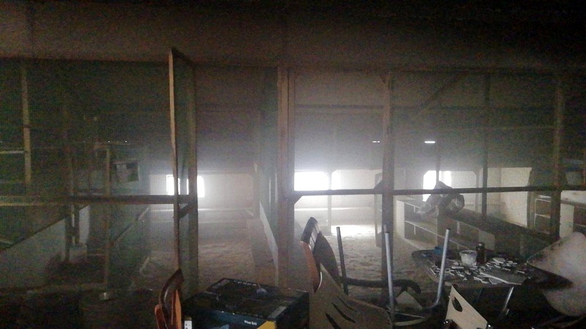 Süs tavukları ve güvercinlerin bulunduğu çatı katında yangın paniği