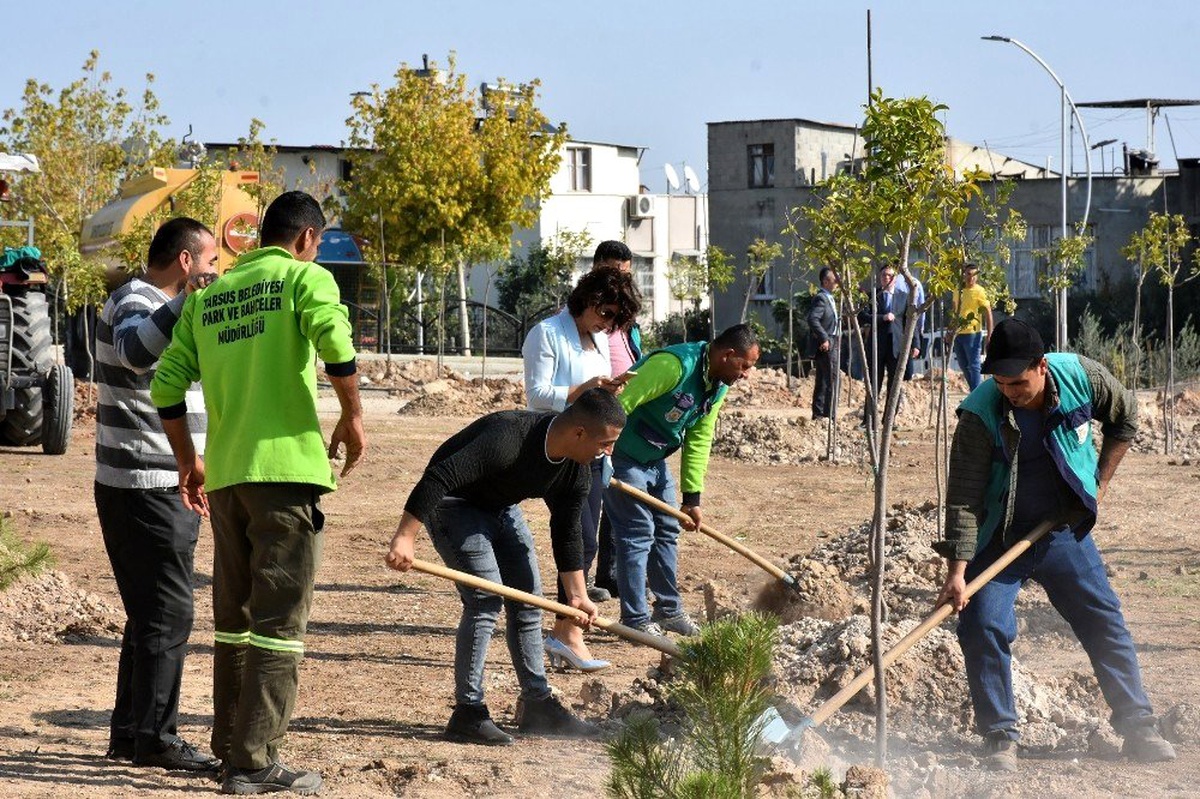 Tarsus\'ta binlerce fidan toprakla buluştu
