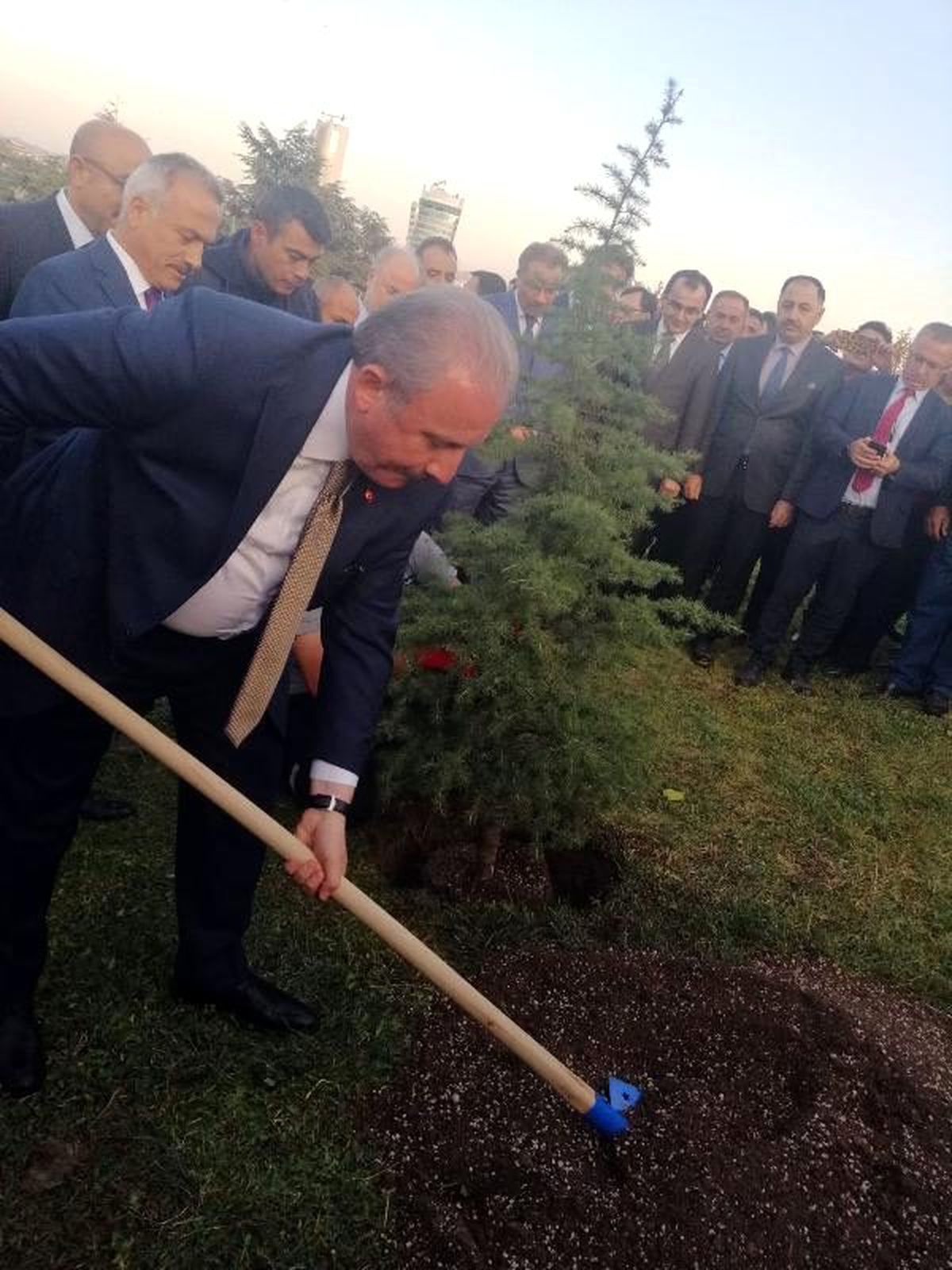 TBMM Başkanı Şentop, fidan dikti