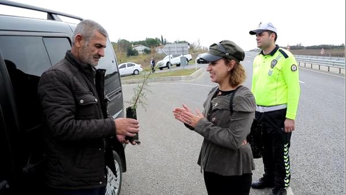 Trafik cezası yazılacağını sanan sürücü, \'fidan\' dikti
