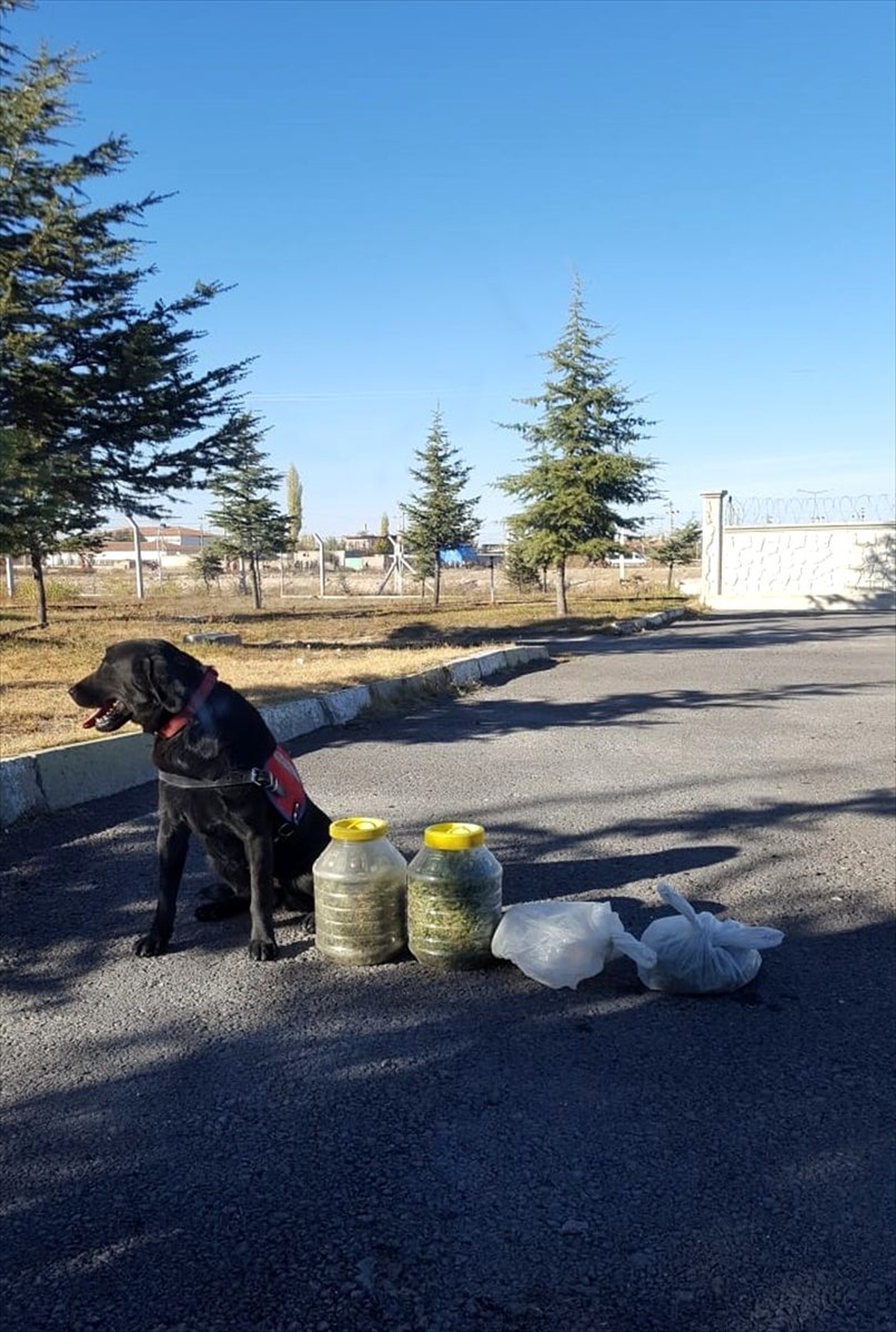 Uyuşturucuyu hırdavat deposuna saklamış