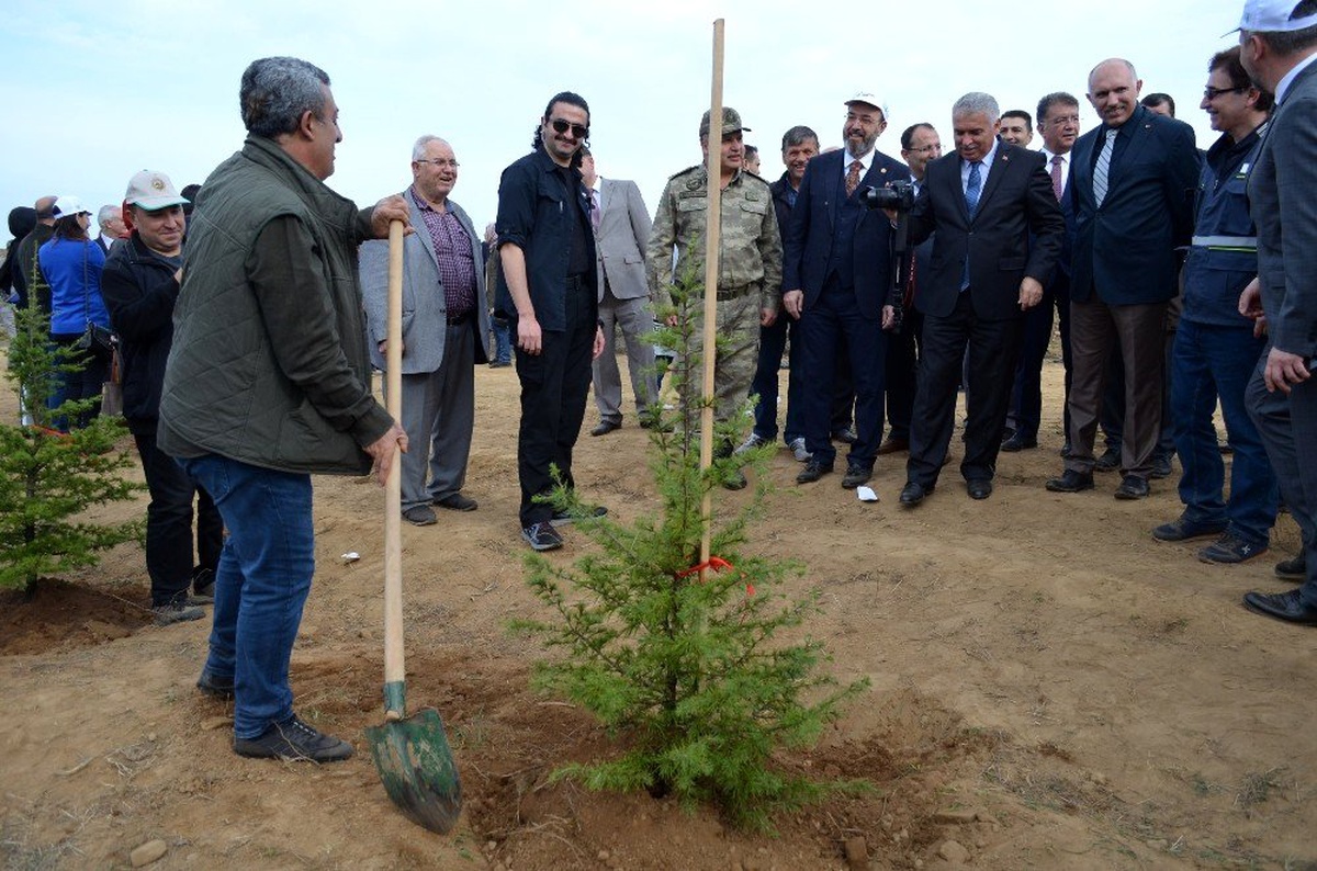 Vali gazetecilere fidan diktirip fotoğraf çekti