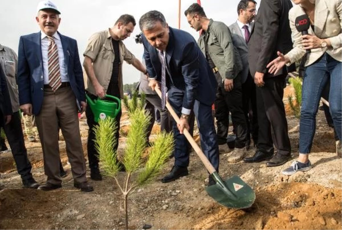 Vali Yerlikaya: Bu yıl sonu 1.5 milyon fidan toprak ile buluşacak