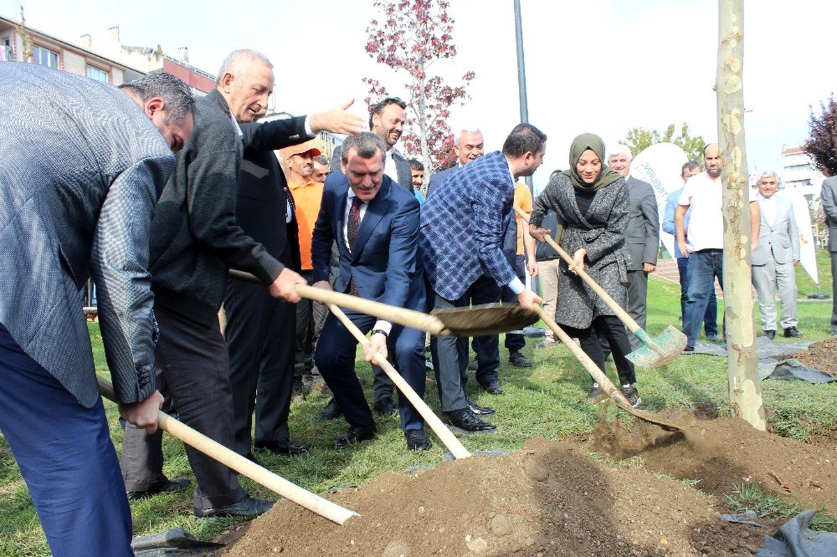 Zeytinburnu\'nda \'Geleceğe Nefes\' için ağaç dikildi