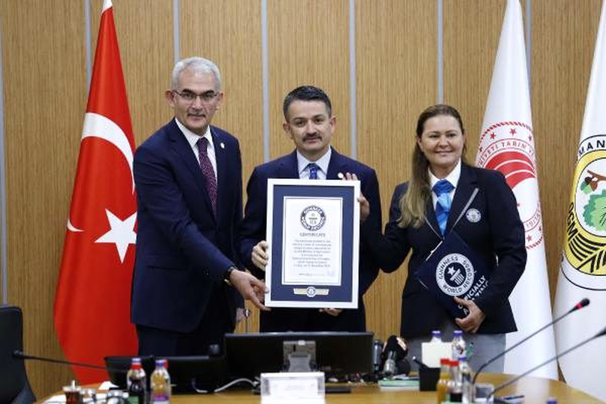 \'1 saatte en fazla fidan dikme\' dünya rekoru Türkiye\'nin oldu