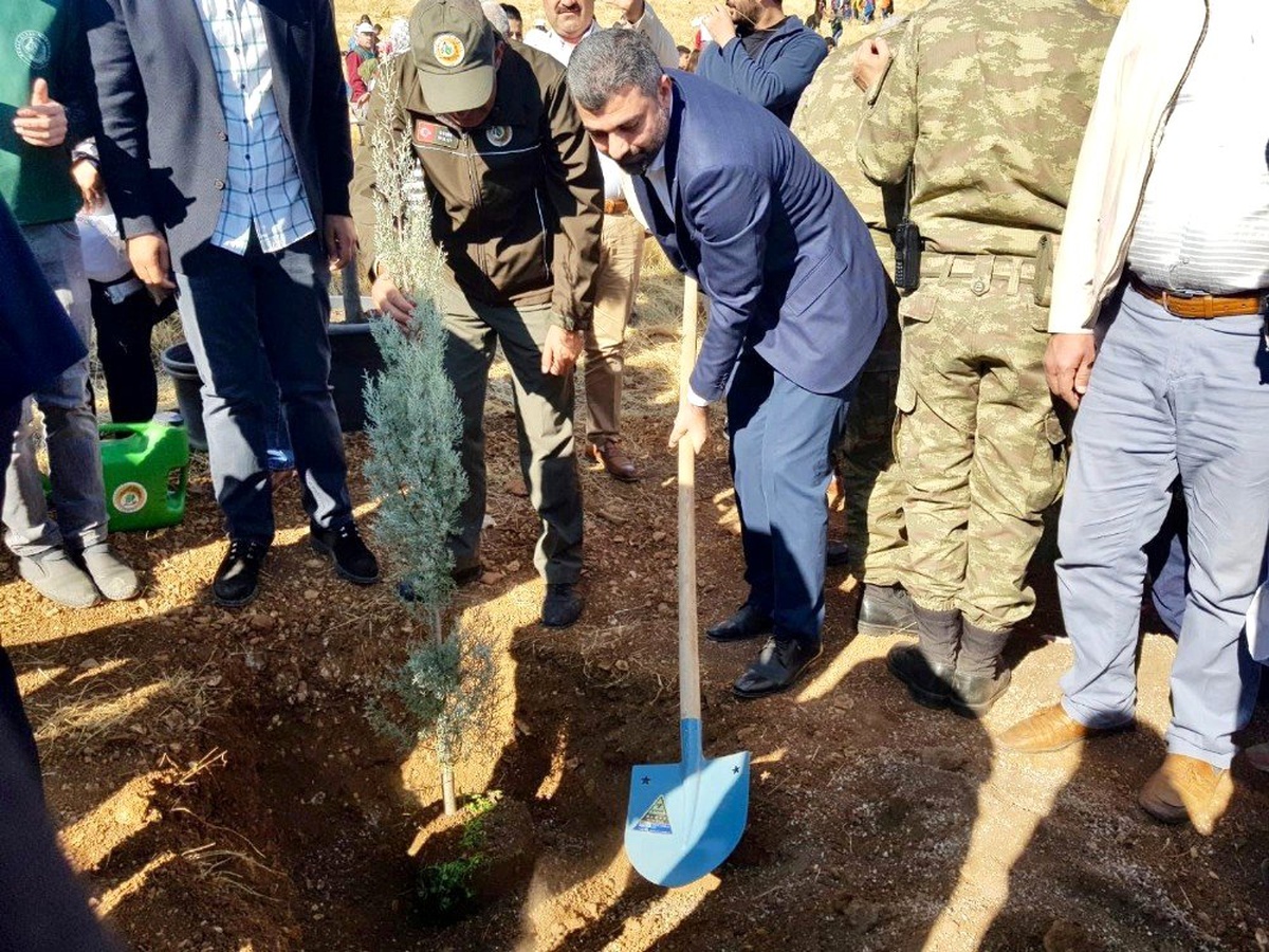 AK Parti İl Başkanı Kılıç: "11 Kasım Gezi\'cilere en anlamlı mesajdır"