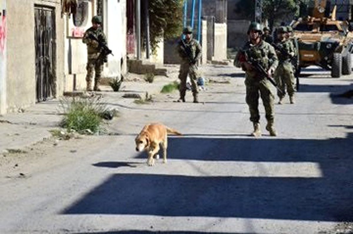"Barış Pınarı Harekat bölgesinde şimdiye kadar 923 EYP ve 337 mayın etkisiz hale getirildi"