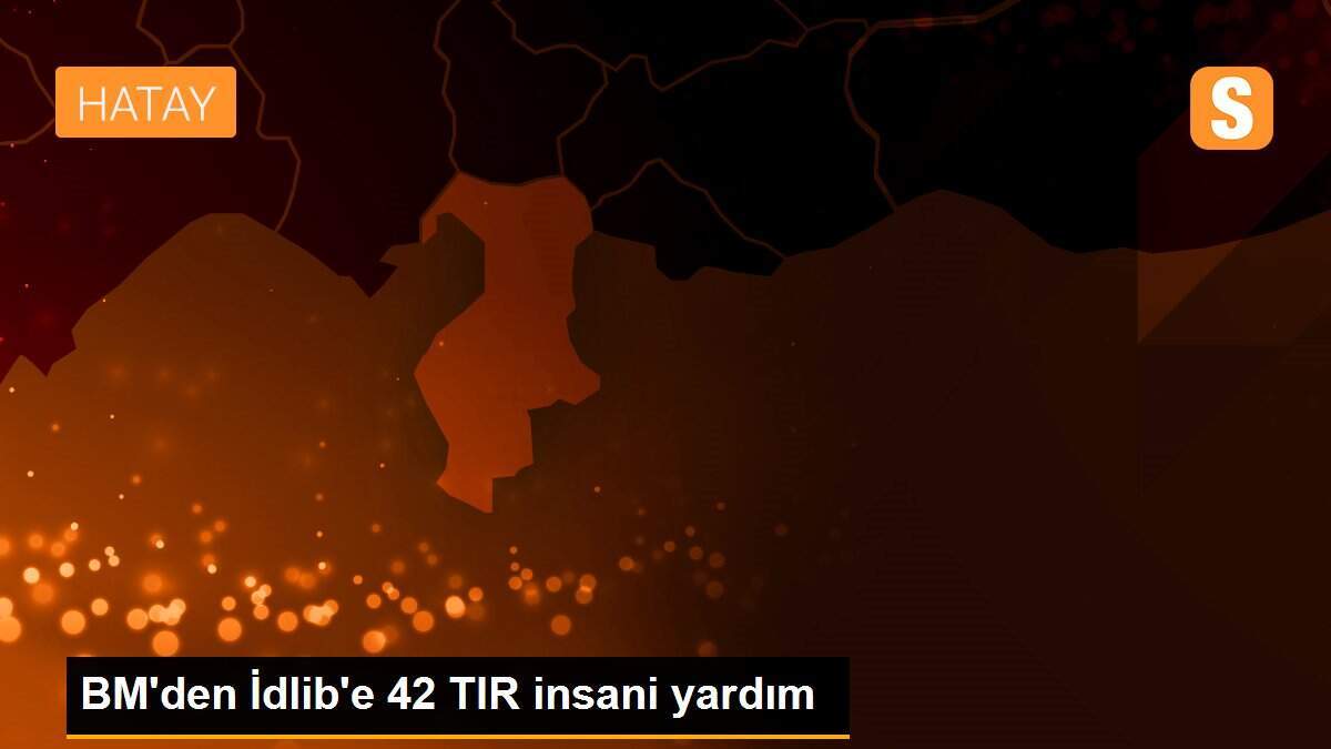 BM\'den İdlib\'e 42 TIR insani yardım