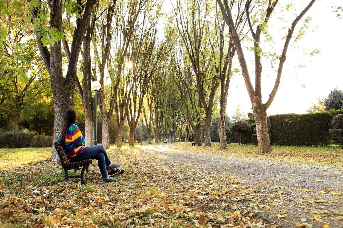 Botanik Park\'ta kartpostallık sonbahar manzaraları