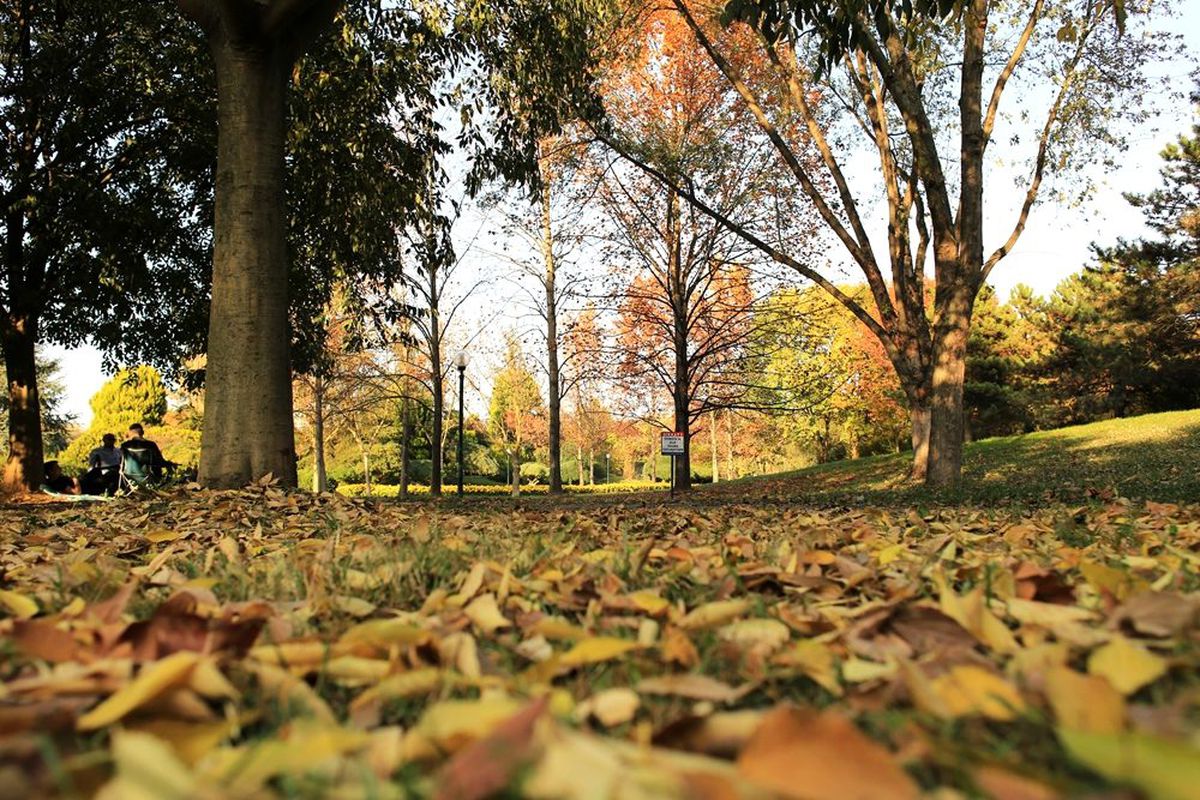 Botanik Park\'ta kartpostallık sonbahar manzaraları