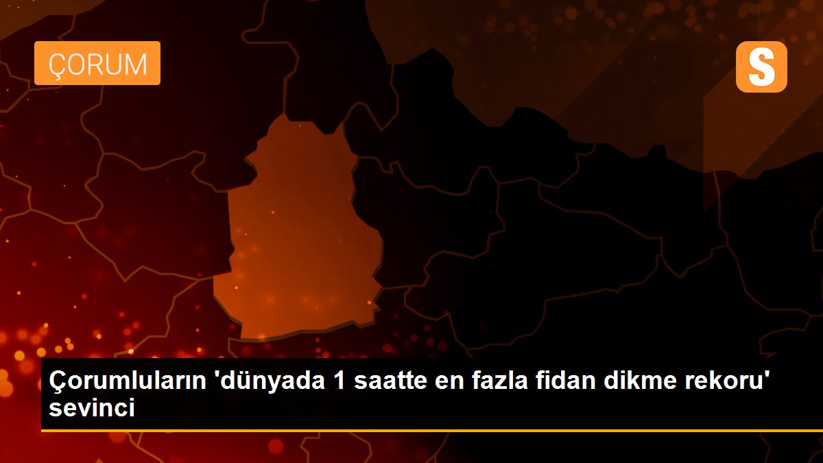 Çorumluların \'dünyada 1 saatte en fazla fidan dikme rekoru\' sevinci