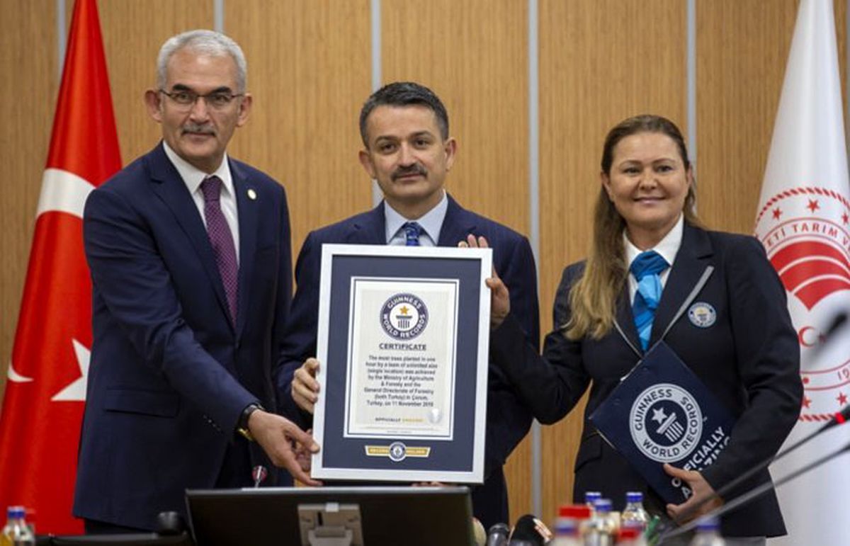 Fidan dikmede Türkiye\'nin Guinness rekoru tescillendi