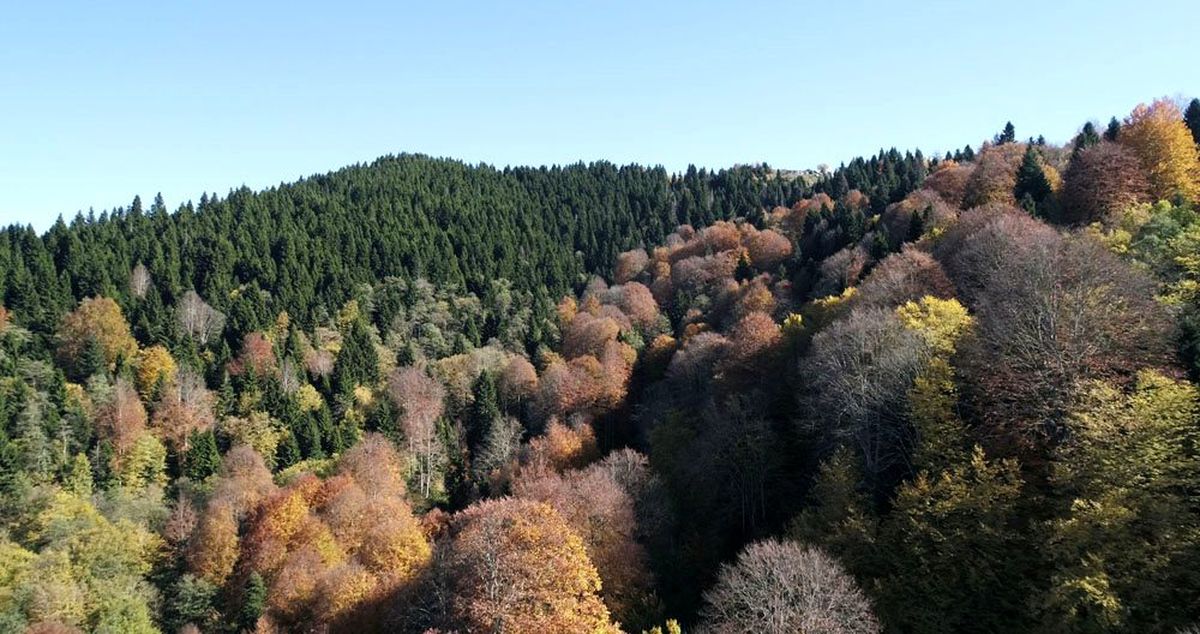 Karadeniz yaylalarında sonbahar