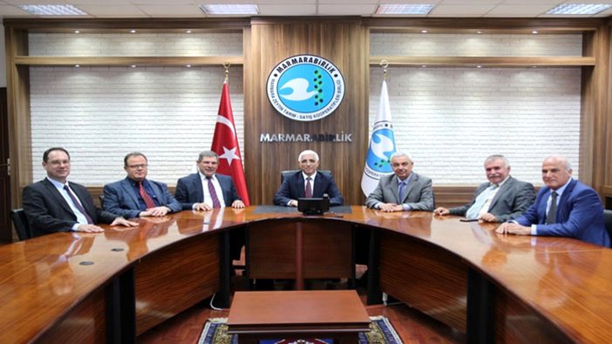 Marmarabirlik, yağlık zeytin alım fiyatını 4 TL’ye yükseltti