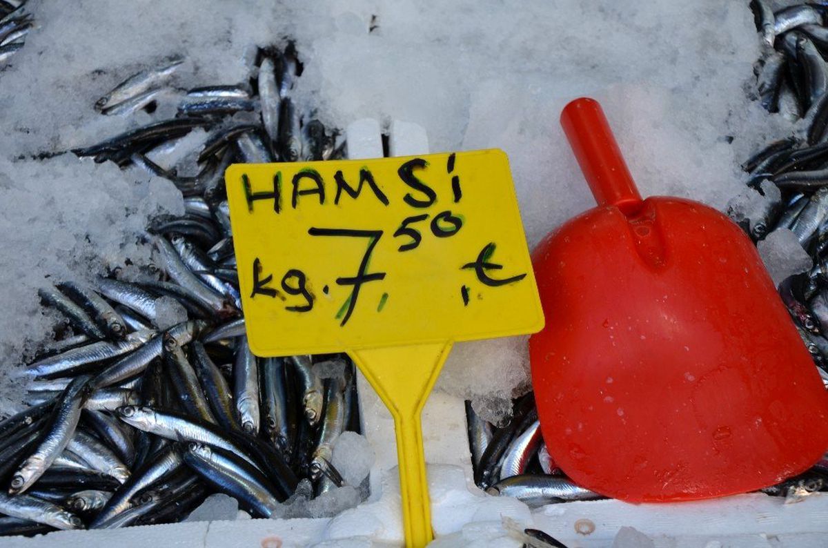 Yerli hamsi tezgâhlarda 7,5 TL